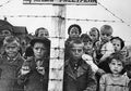 Terungkap, Sekelompok Korban Selamat Holocaust Pernah Membalas Dendam dengan Meracuni Ribuan Orang Jerman