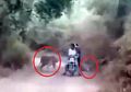 (VIDEO) Detik-detik Menegangkan Saat Pengendara Motor di Hadang 2 Harimau Dewasa dan Tak Bisa Berbuat Apa-apa