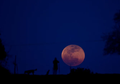 Menakjubkan, Inilah Penampakan Super Blue Blood Moon di Berbagai Negara, di Indonesia Juga Ada Lo