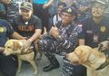 Sebelum Temukan 1 Ton Sabu di Kapal Berbendera Australia, Anjing K-9 Sempat Teler