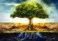 Axis Mundi: Situs Suci di Mana 'Surga' Bertemu Bumi