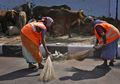 Ironis! Di Tengah Kampanye India Bersih, Menteri Kesehatan Justru Kepergok Kencing di Dinding