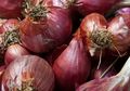 Ini Dia Manfaat Bawang Merah Bagi Kesehatan!