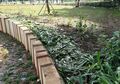 ‘Di Surabaya Taman Tanpa Pagar Tak Ada yang Injak, Masa Orang Jakarta Enggak Bisa?’