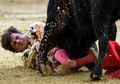 Duel Mendebarkan Matador Versus Banteng Saat si Matador Sudah Terluka dan Tertikam Tanduk Bertubi-tubi