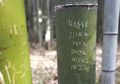 Parah, Asal Ukir Nama di Bambu Saat ke Jepang, Rupanya Itu Merupakan Warisan Dunia UNESCO!