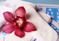 Hei Para Wanita, Perhatikanlah 7 Hal Ini pada Darah Menstruasi Anda, Sebab Ia Bisa Beritahu Kesehatan Anda