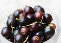 Jus Blackcurrant Bisa Menjaga Kesehatan Otak