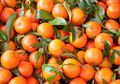 Manfaat Vitamin C pada Jeruk