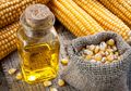 Dibanding Minyak Zaitun Murni, Minyak Jagung Lebih Efektif Menurunkan Kolesterol