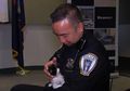 (Video) Menggemaskan! Audisi Anak Kucing untuk Menjabat Polisi di Michigan, Apa Saja Kualifikasinya?