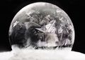 Beginilah Rupa Gelembung Sabun yang Membeku pada Suhu Minus 15 Derajat Celcius
