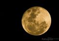 Untuk Pertama Kalinya di Abad Ini, Full Moon Terjadi di Hari Natal