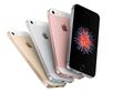 Dibanderol Rp5 Jutaan, iPhone SE jadi Ponsel Apple Termurah Sepanjang Sejarah