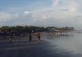 Hal Tak Terduga yang Bisa Membunuh Kita di Pantai: Camar dan Kelapa