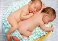 Pertumbuhan Bayi Prematur