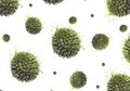 Mungkinkah 'virus zombie' dibuat?
