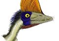 Jengger, tanda kejantanan pterosaurus
