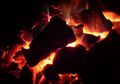 Kebakaran batu bara berperan dalam kepunahan