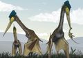 Pterosaurus Memiliki Evolusi Luar Biasa
