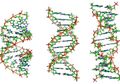 Manusia Hanya Menggunakan Kurang dari 10 Persen DNA-nya