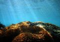 Pergunakan Laut dengan Bijak Mulai Sekarang