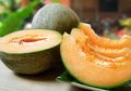 Kultivar Gama Melon Parfum untuk Bahan Industri Kecantikan