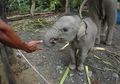 <em>Voluntourism</em>, Berwisata Sambil Beramal
