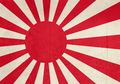 13 Desember 1937, Pemerkosaan Kota Nanking