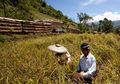 <i>Voluntourism</i> , Gaya Baru Untuk <i>Traveling</i>