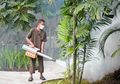 Penyebab <i>Fogging</i> Tak Ampuh Basmi Nyamuk DBD