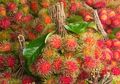 Kaya Nutrisi dan Antioksidan, Inilah Empat Manfaat Buah Rambutan