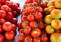 Turunkan Risiko Mandul, Buah Tomat Membuat Kualitas Sperma Jadi Subur