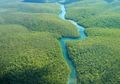 Mencari Bukti Peradaban Kuno di Hutan Amazon