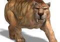 Smilodon dan Gigi Pedangnya