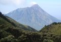 Kebakaran di Lereng Gunung Merbabu