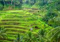 Film Membuat 10 Lokasi Ini Paling Juara (II)