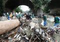 Sampah Kali Ciliwung Diperkirakan Lebih Dari 100 Ton