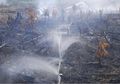BNPB: Luas Lahan dan Hutan yang Terbakar Paling Banyak di NTT