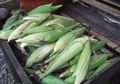 Kandungan Baik dari Si Jagung