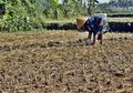 Musim Kemarau Tahun Akan Berlangsung Lebih Lama, BMKG Peringatkan Warga untuk Hemat Air, Sebab Hujan Baru Turun pada Bulan Ini