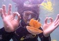Bercengkrama dengan Penyu dan Ubur-ubur di Kepulauan Derawan