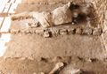 Media Serukan Penyelamatan Kota Kuno Pompeii