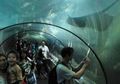 "Long Weekend" di Ancol? Simak Tips Ini Dulu