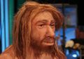 Neanderthal Wariskan Gen Penyakit dan Kekebalan Tubuh