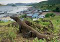 Pelabuhan Labuan Bajo Jadi Incaran ASDP