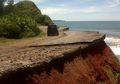 Abrasi, Pulau Tikus Akan Hilang dalam 20 Tahun