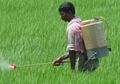 Peningkatan Produksi Pangan Justru Berdampak Buruk Bagi Lingkungan?
