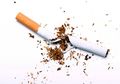 Puntung Rokok Bisa Jadi Medium Penyimpan Energi
