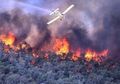 Atasi Kebakaran Hutan, Australia Ujicoba Pesawat Nirawak